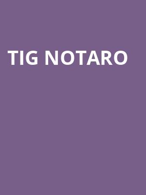 Tig Notaro, Algonquin College Commons Theatre, Ottawa